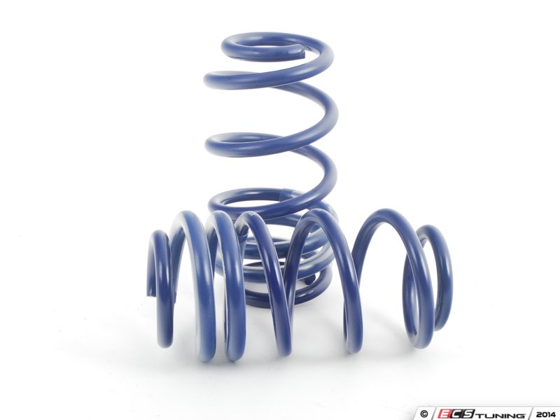 OE Sport Springs Set