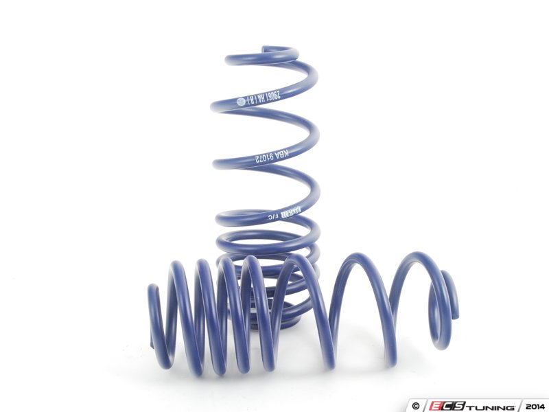 OE Sport Springs Set