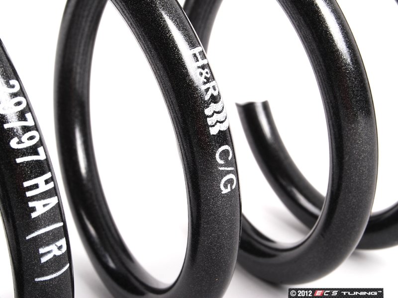 Sport Springs Set 6 Sport Springs Set