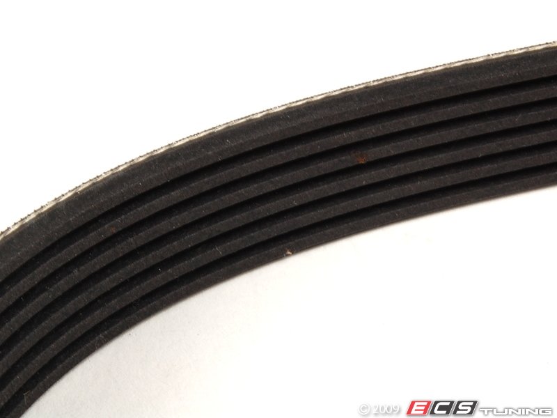 Accessory Drive Belt