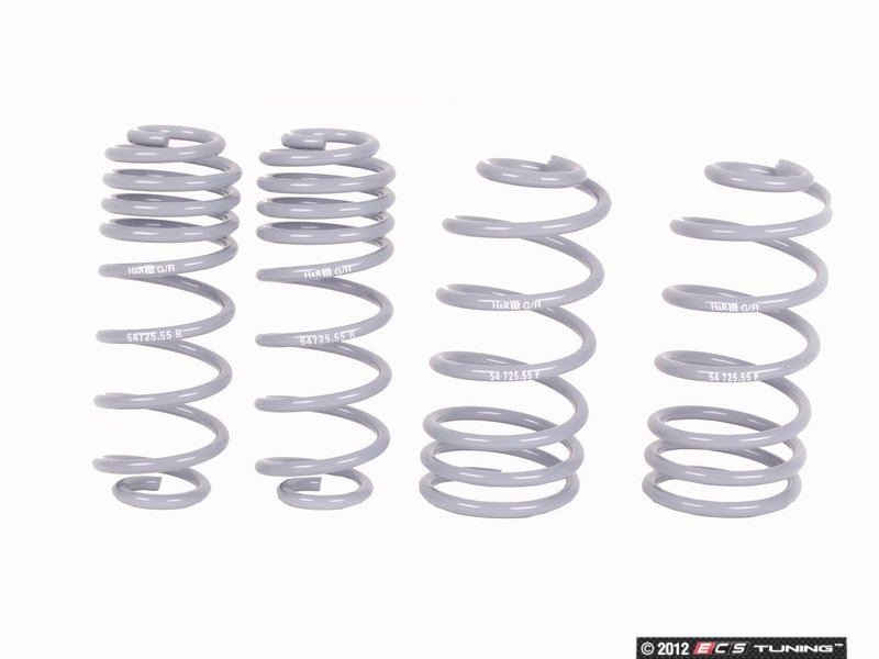 H&R OE Sport Spring & Bilstein Heavy Duty Shocks Combo 5 H&R OE Sport Spring & Bilstein Heavy Duty Shocks Combo