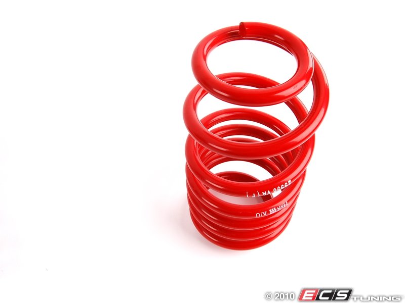 Race Springs Set